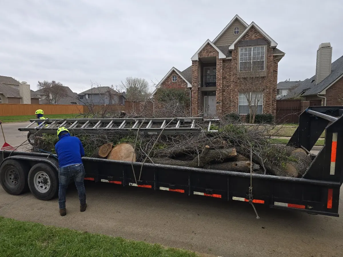 Expert Lot Clearing with proper safety equipment in Pioneer